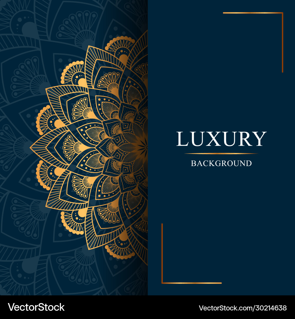 Mandam Background Mandala background image Royalty Free Vector Image