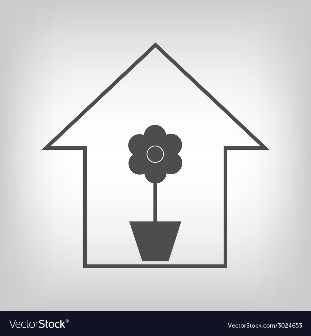 House with plant