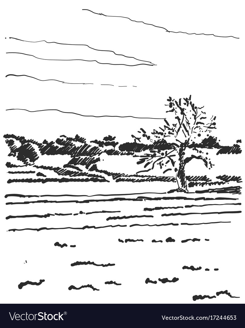 Landscape sketch tree and fields