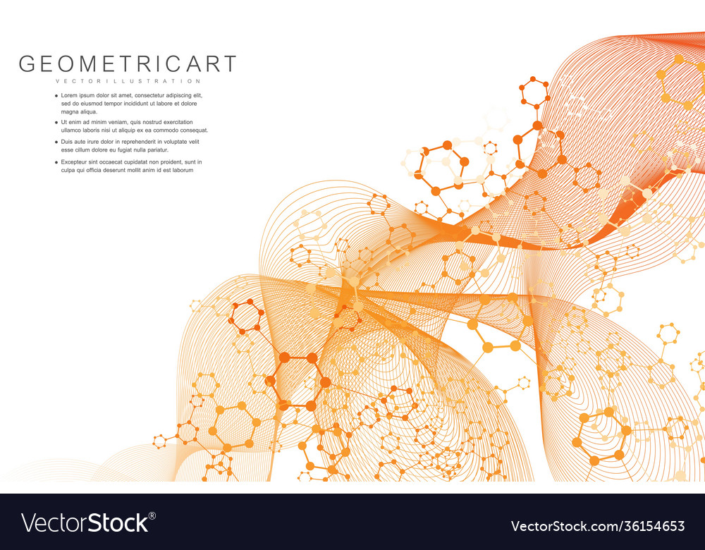 Science network pattern connecting lines and dots vector image Science network pattern connecting lines and dots