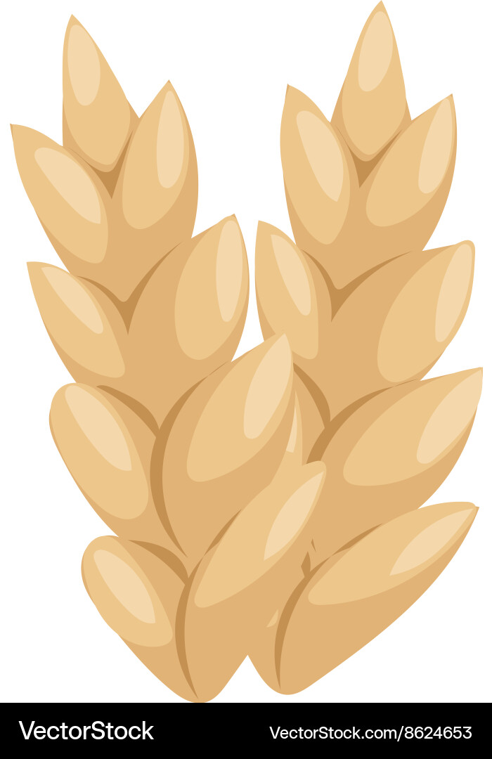 Wheat ear icon Royalty Free Vector Image - VectorStock