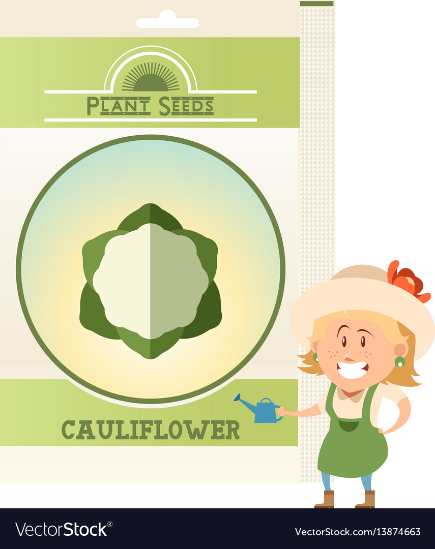 Pack of cauliflower seeds icon