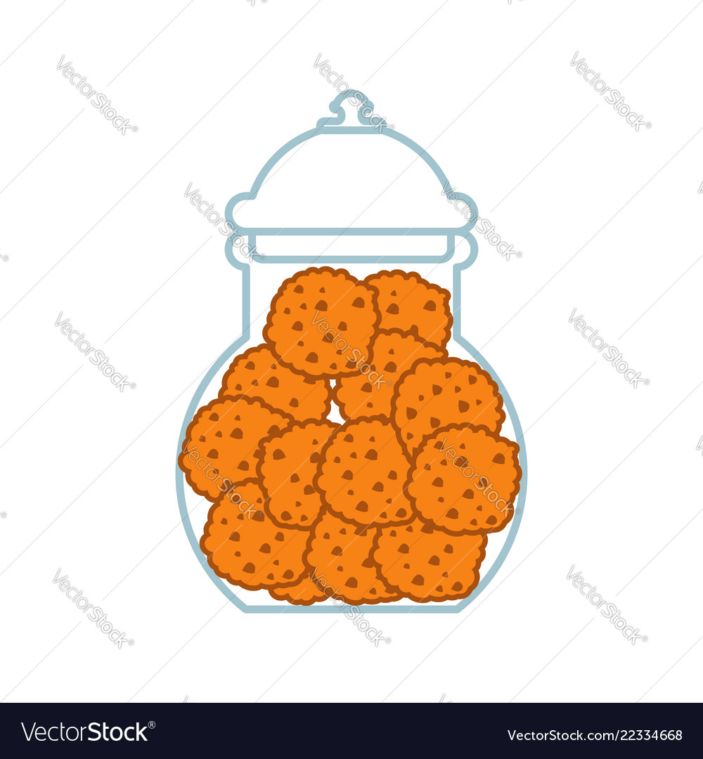 Cookies in jar isolated oatmeal cookie glass