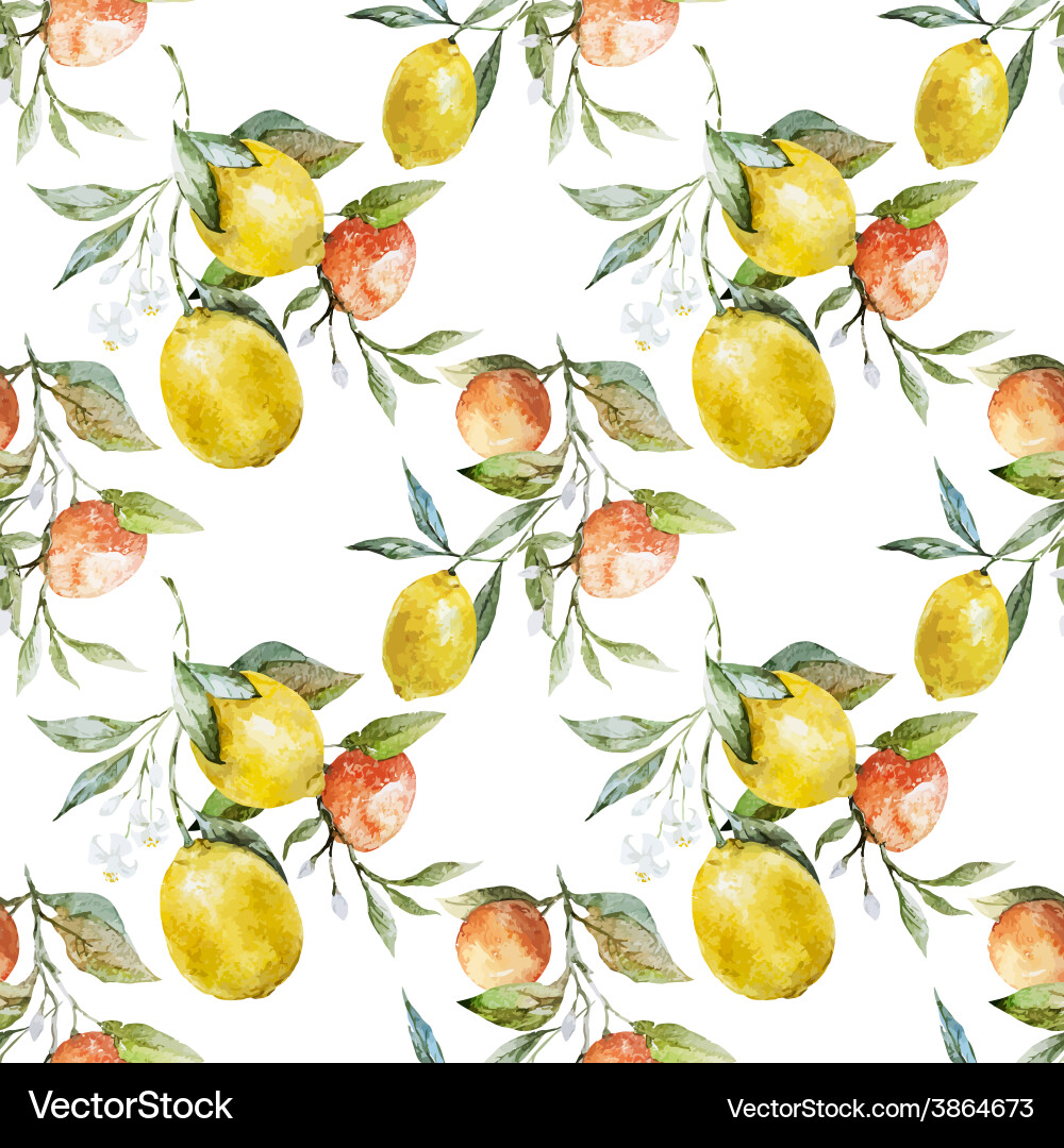 Lemons and oranges Royalty Free Vector Image - VectorStock