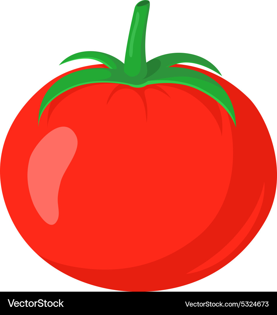 Red tomato vegetable Royalty Free Vector Image