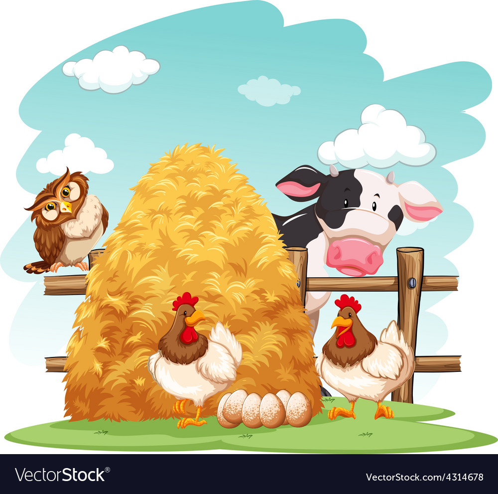 Animals Royalty Free Vector Image - VectorStock