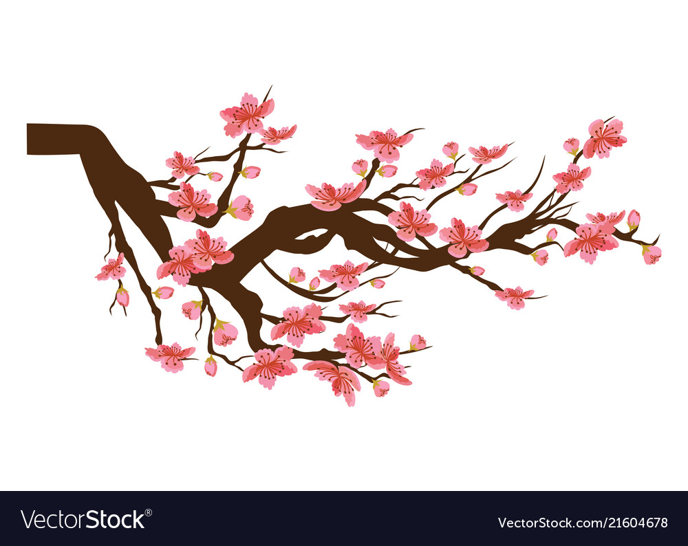 chinese flowers vector