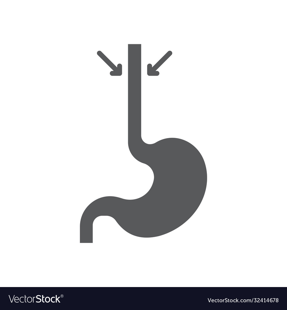 Esophagus icon symbol anatomy isolated on white Vector Image