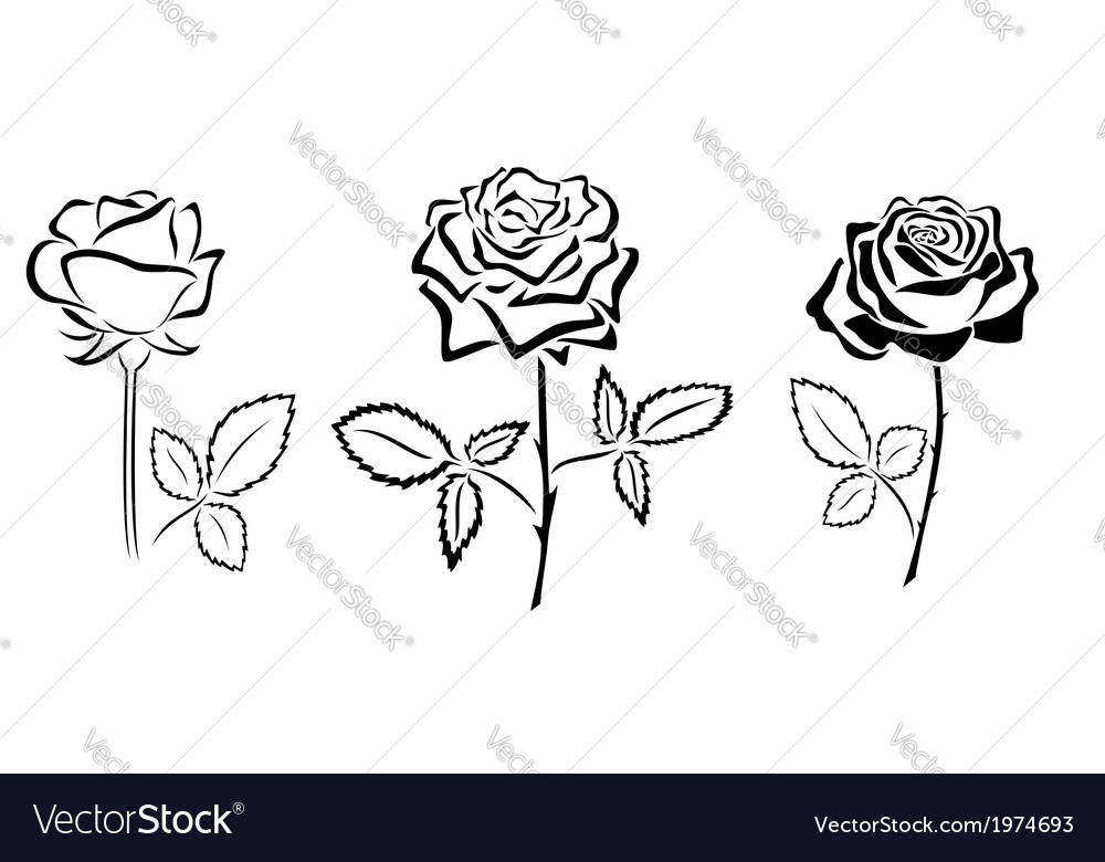 Black silhouettes of roses