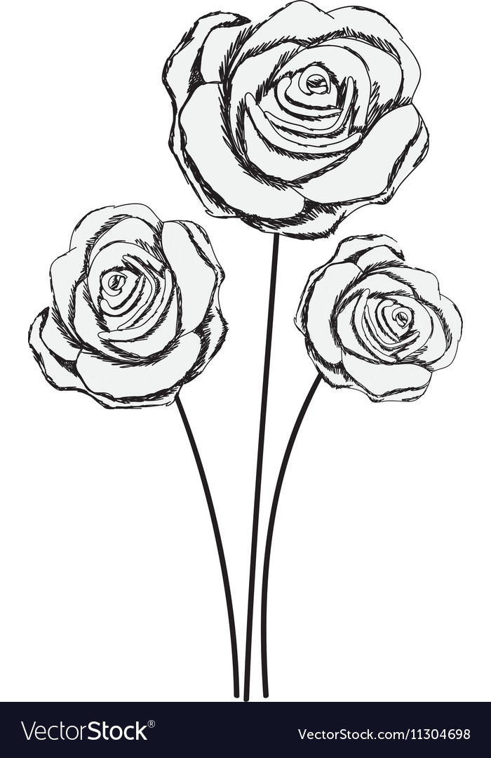 Delicate flower drawing icon image