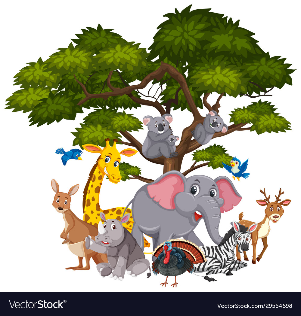 Different Types Animals On Tree Royalty Free Vector Image
