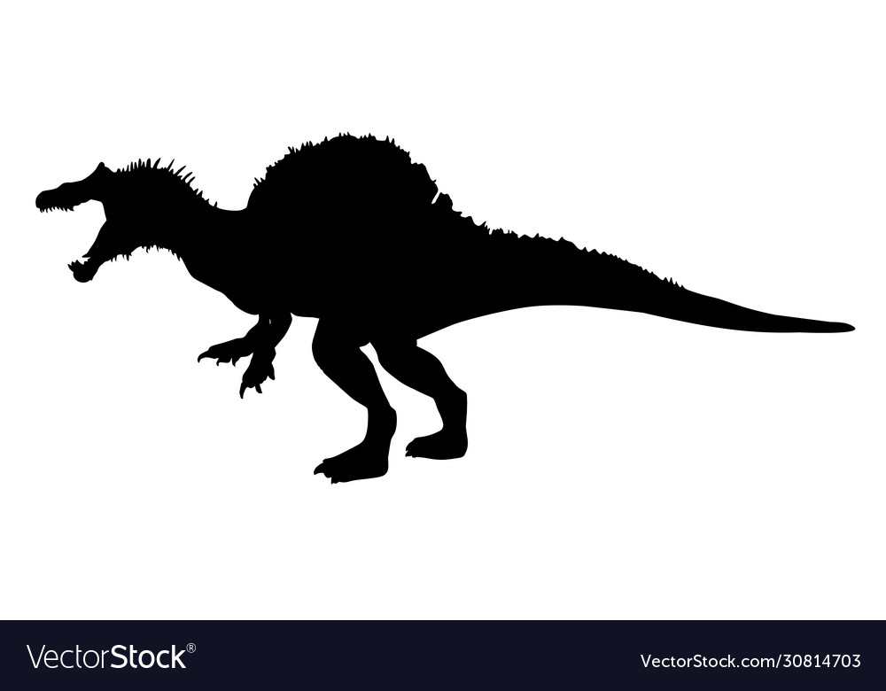 Silhouette a spinosaurus Royalty Free Vector Image