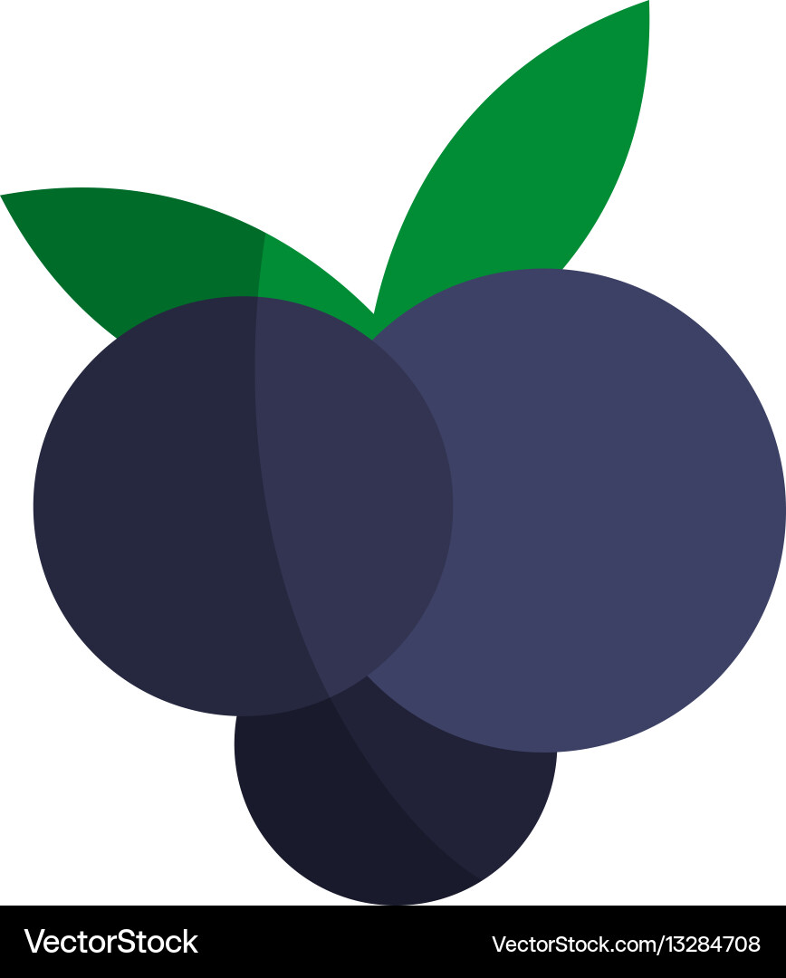 Grape fruit icon Royalty Free Vector Image - VectorStock