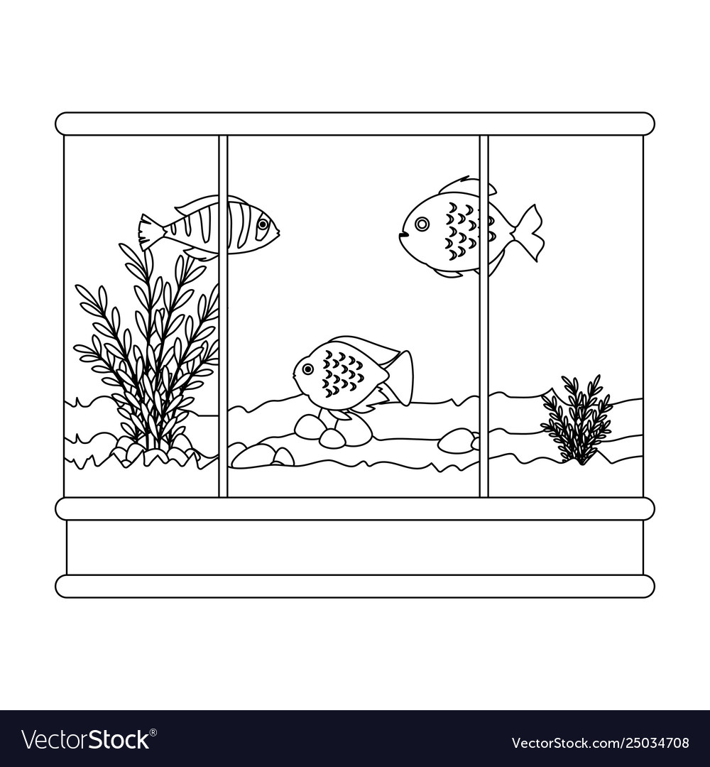 Square aquarium with colors fish Royalty Free Vector Image