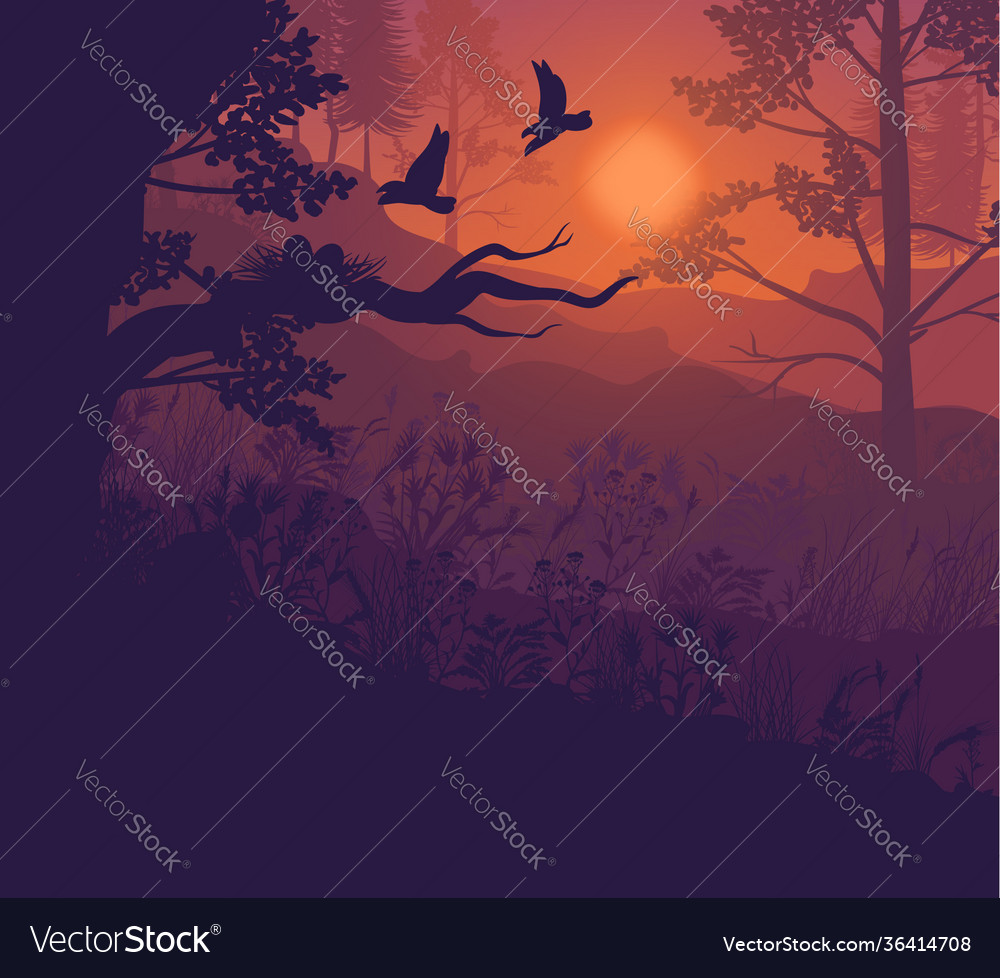 Sunrise forest landscape background Royalty Free Vector