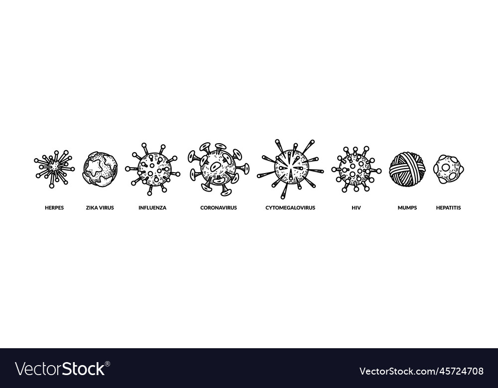 Webset of hand drawn different types viruses