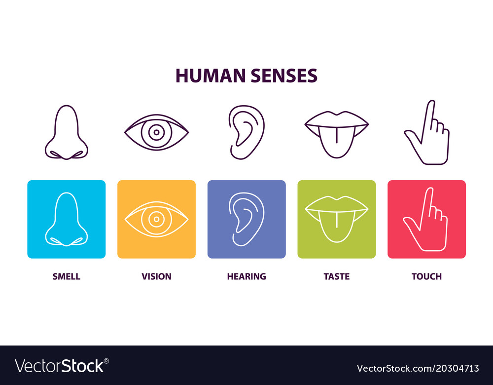 Human senses informative poster with body parts Vector Image