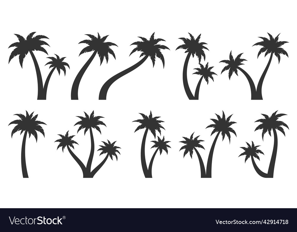 Palm tree tropic plant leaf black silhouette set