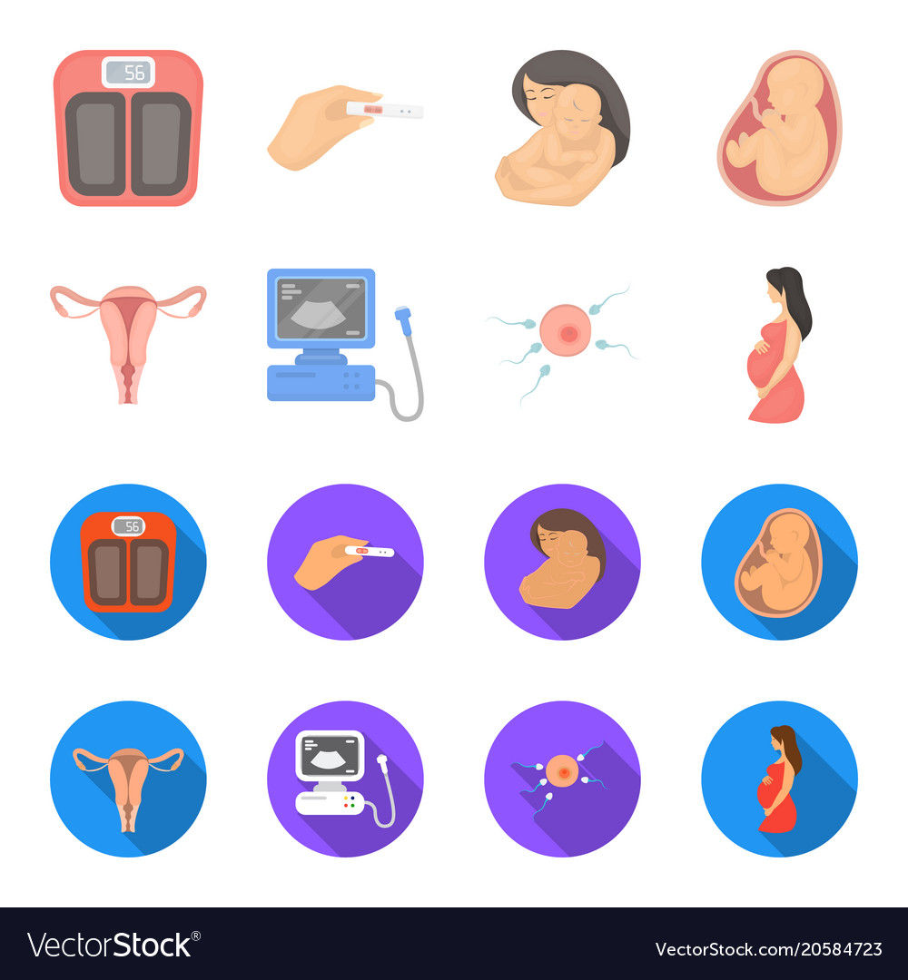 Uterus apparatus of ultrasound fertilization