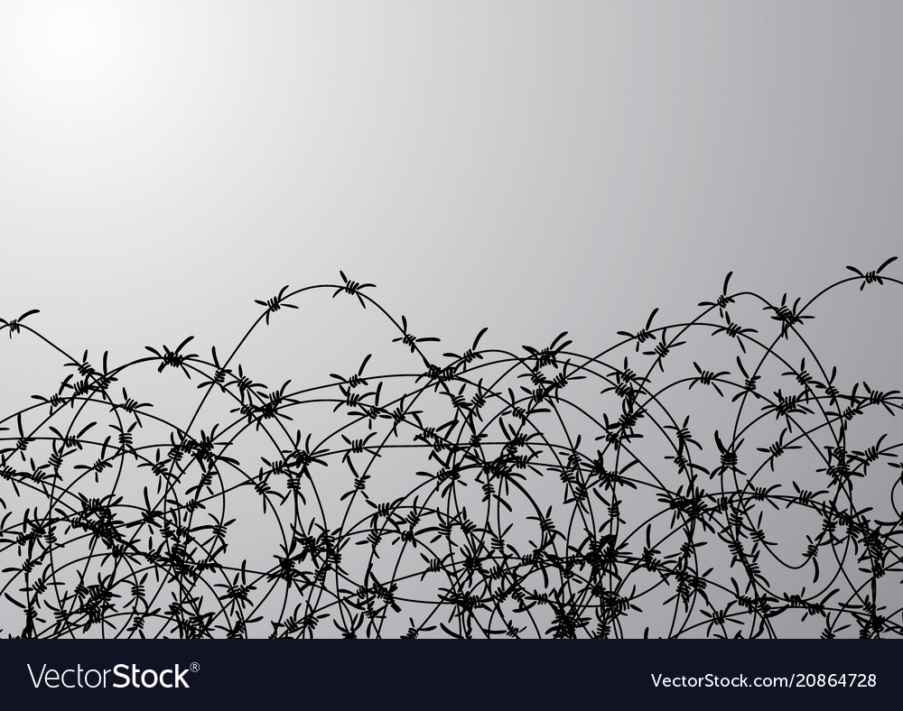barbed iron wire