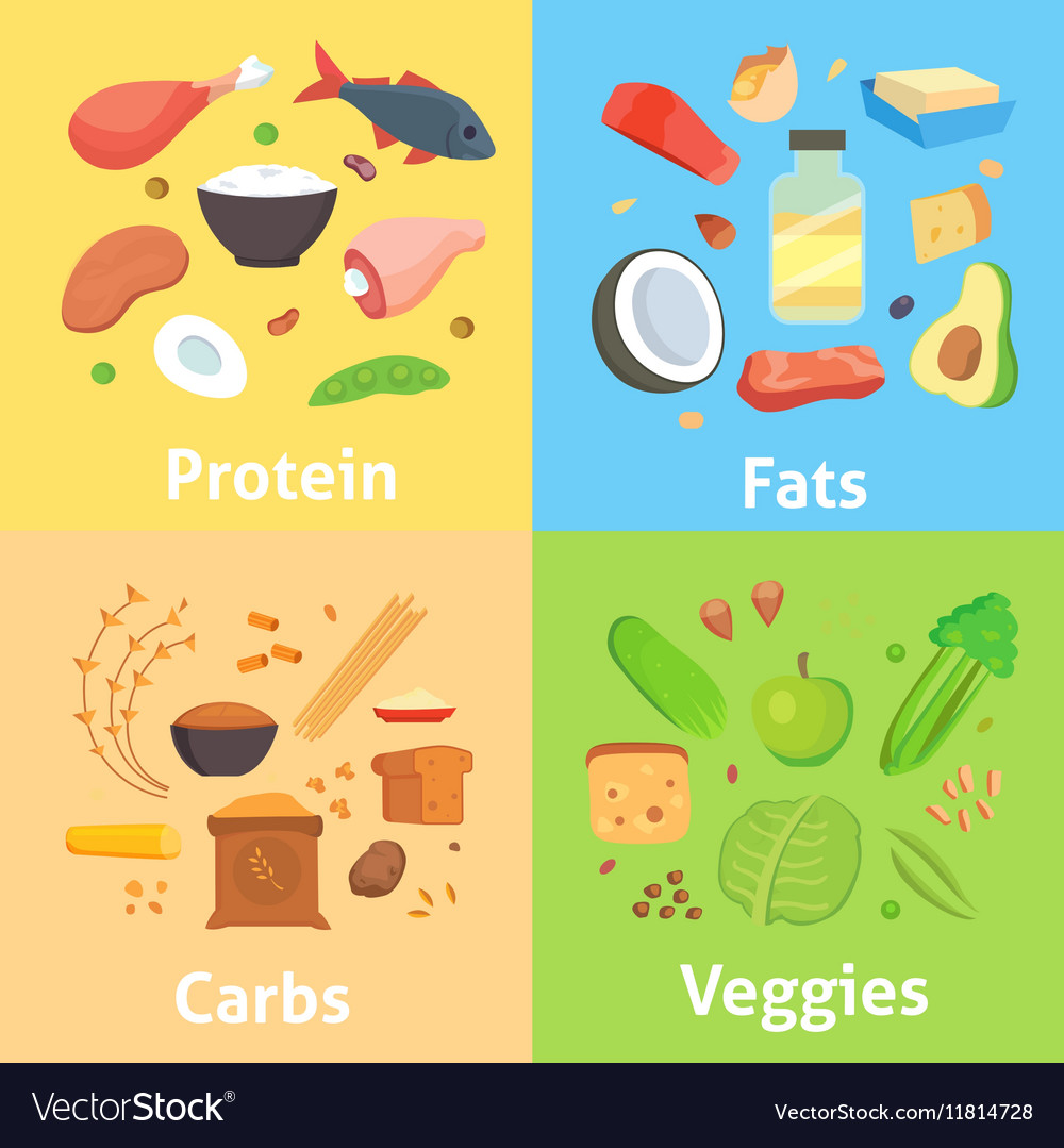 Healthy Nutrition Proteins Fats Carbohydrates Vector Image