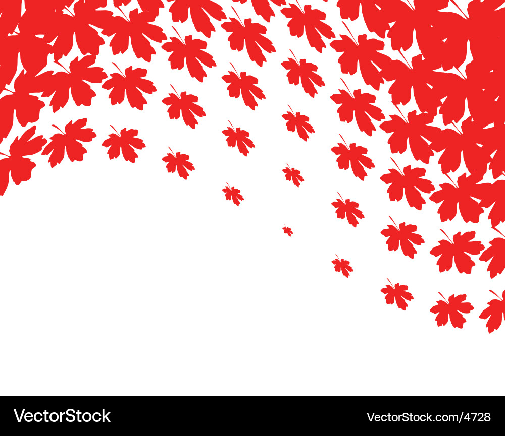 Maple Leaf Autumn Background Royalty Free Vector Image