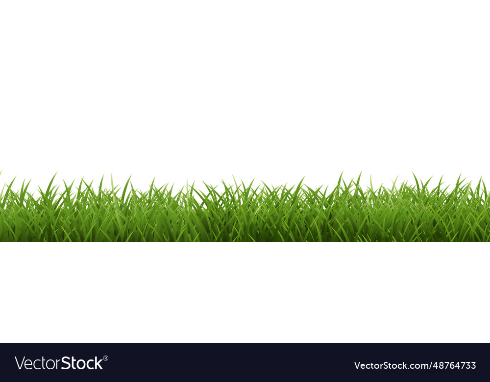 Green border with isolated white background Vector Image