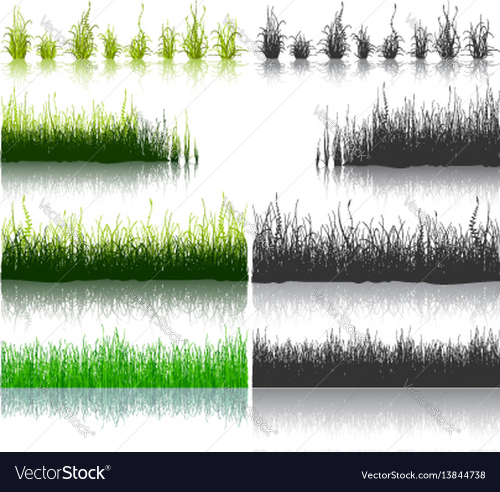 Set of green and black grass isolated on white