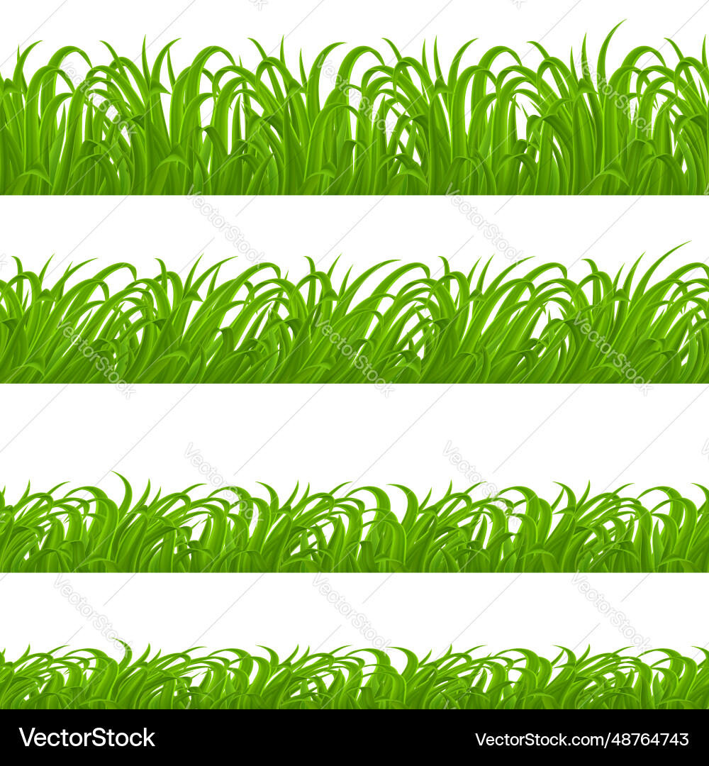 Green grass Royalty Free Vector Image - VectorStock