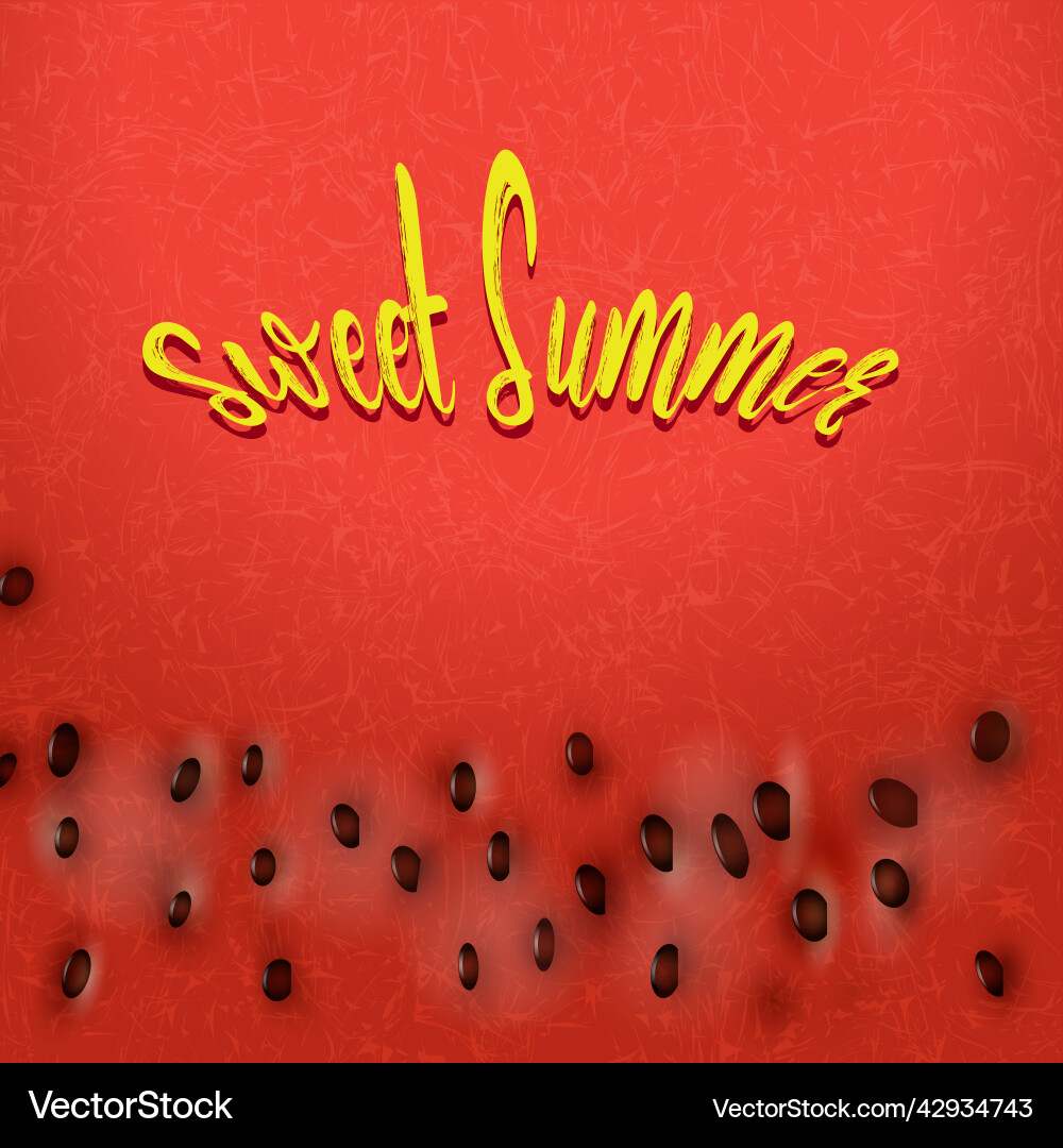 Watermelon background Royalty Free Vector Image