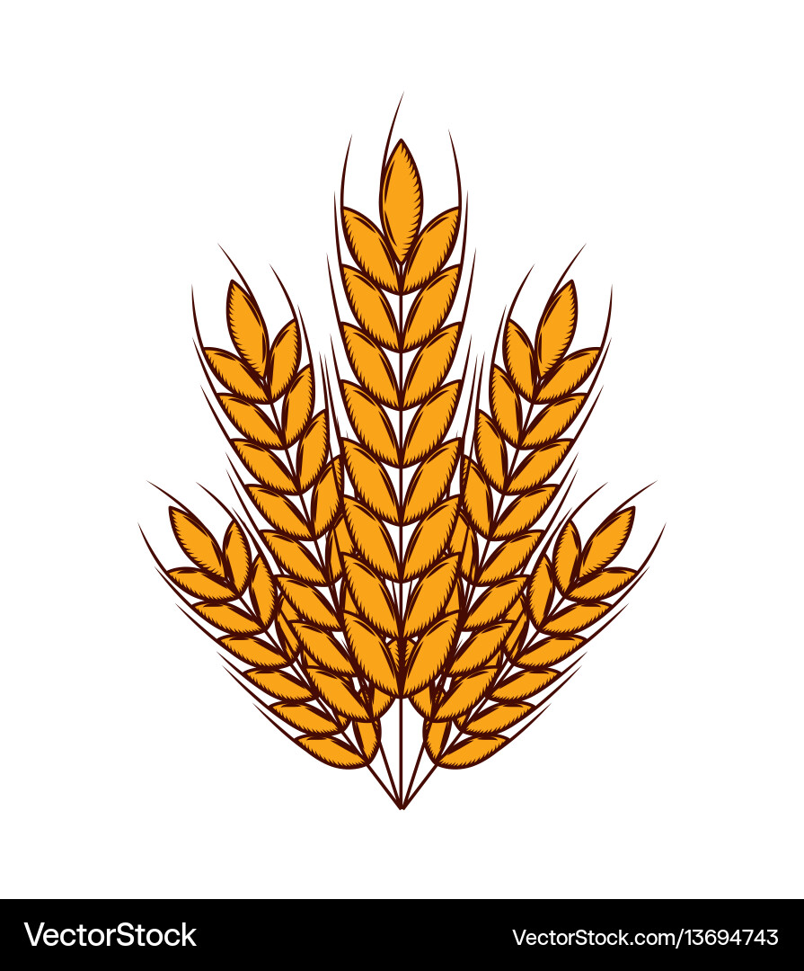 Wheat ears icon Royalty Free Vector Image - VectorStock