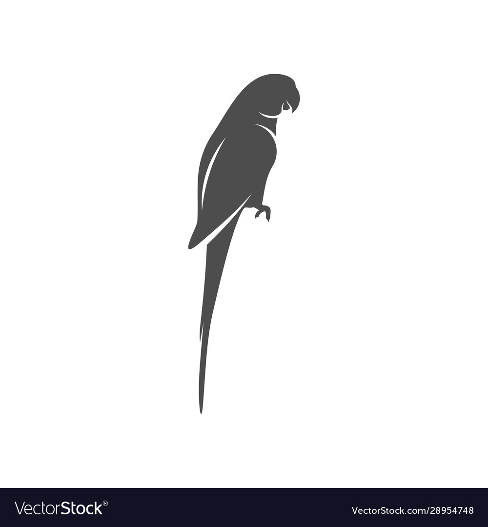 Parrot logo icon design template