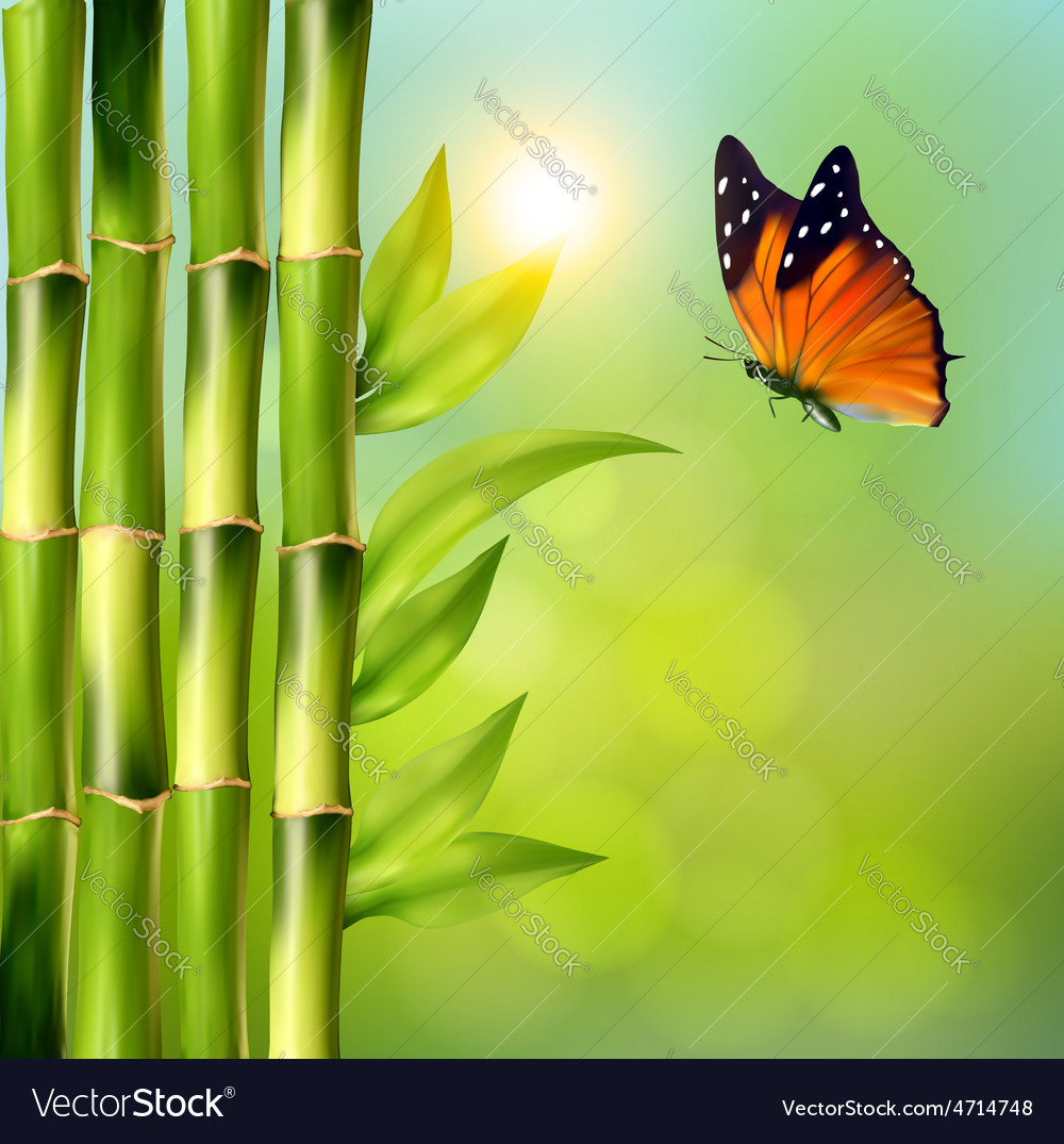 spa background with bamboo and butterfly vector image