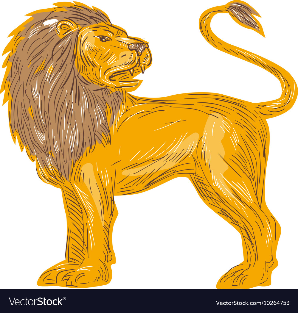 Cartoon Lion Drawing - How To Draw A Cartoon Lion Step By Step