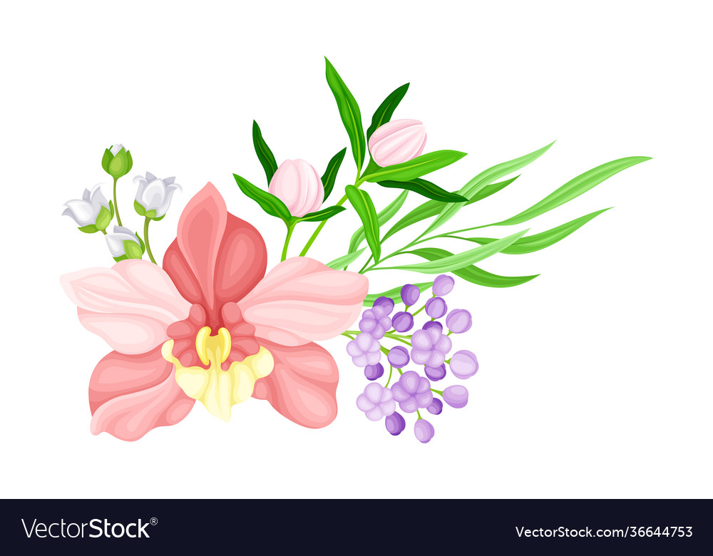 Fragrant orchid bloom with labellum arranged Vector Image