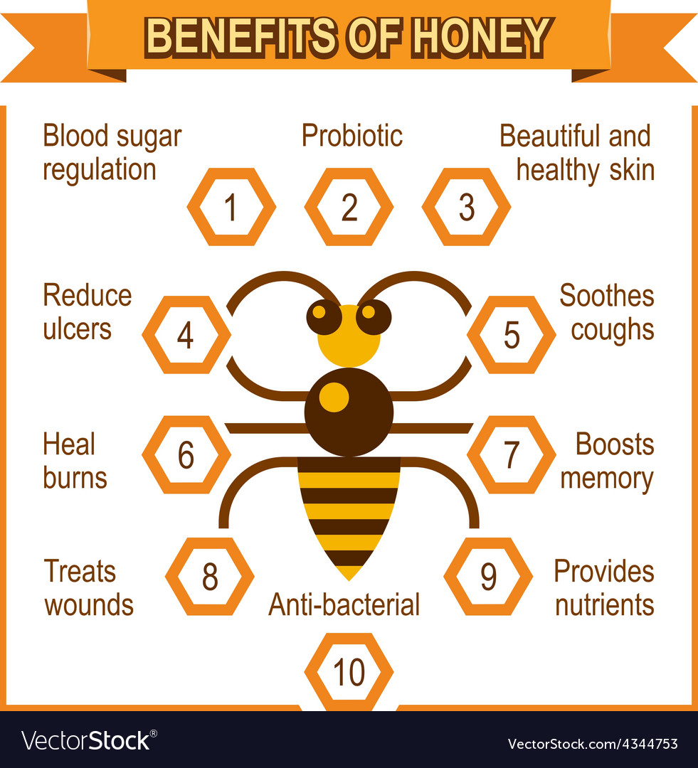 infographic placard about benefits of honey