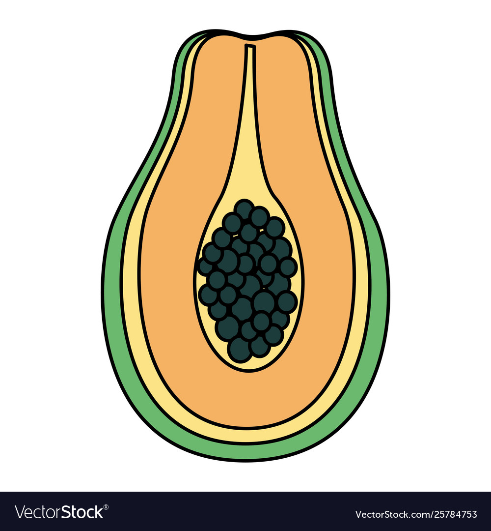 Papaya tropical fruits on white background