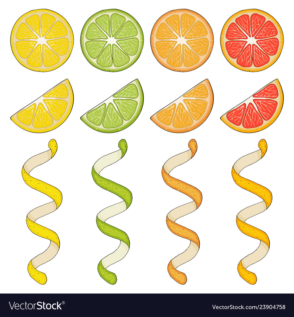 Collection of hand drawn elements lemon