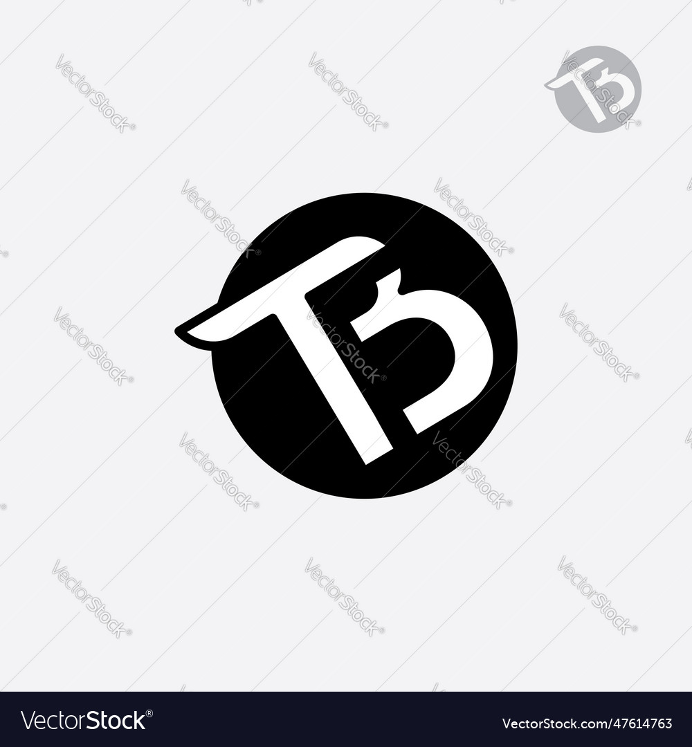 Tb Bt B And T Letter Logo Symbol Icon Royalty Free Vector