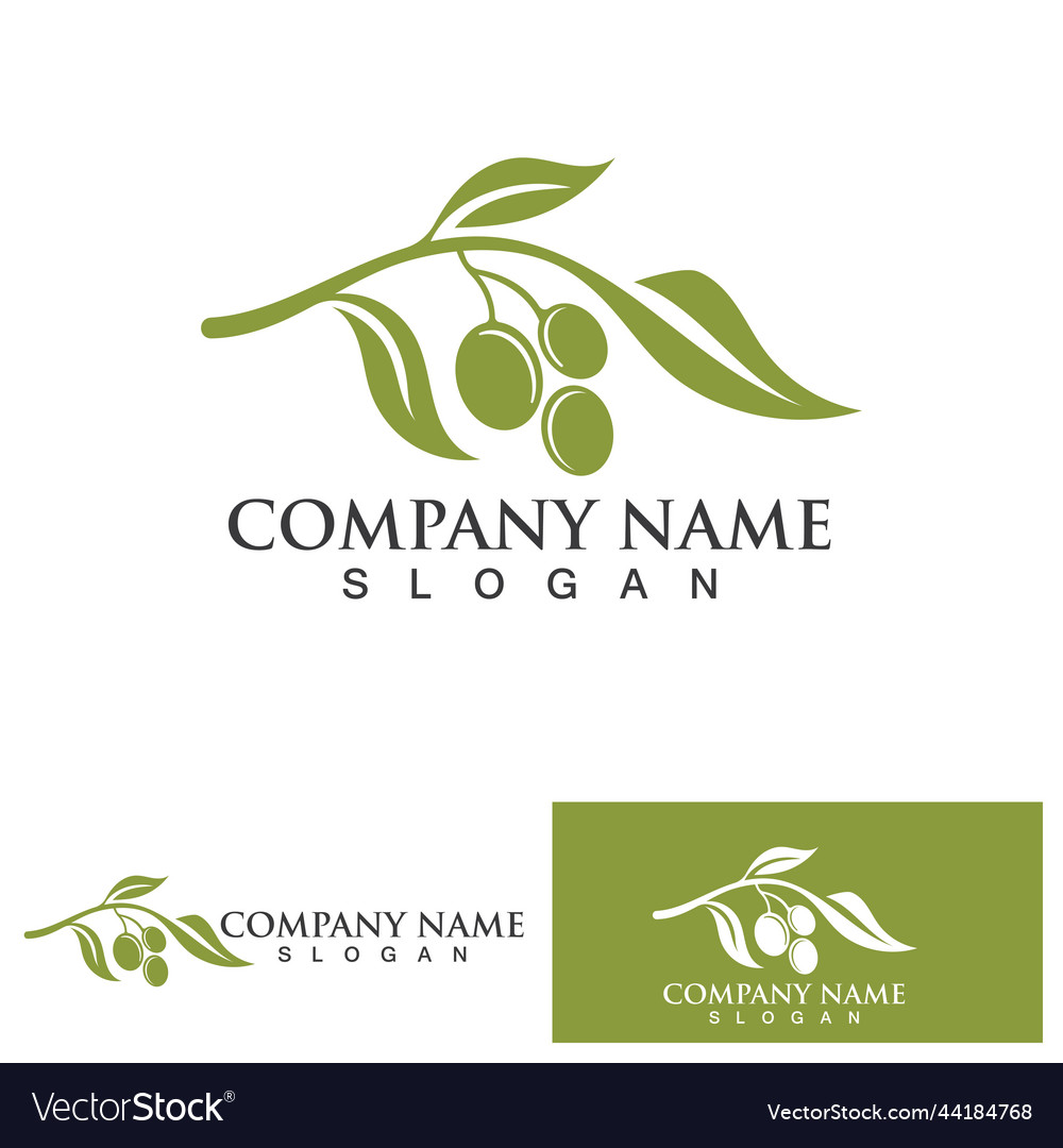 Olive tree logo design template Royalty Free Vector Image