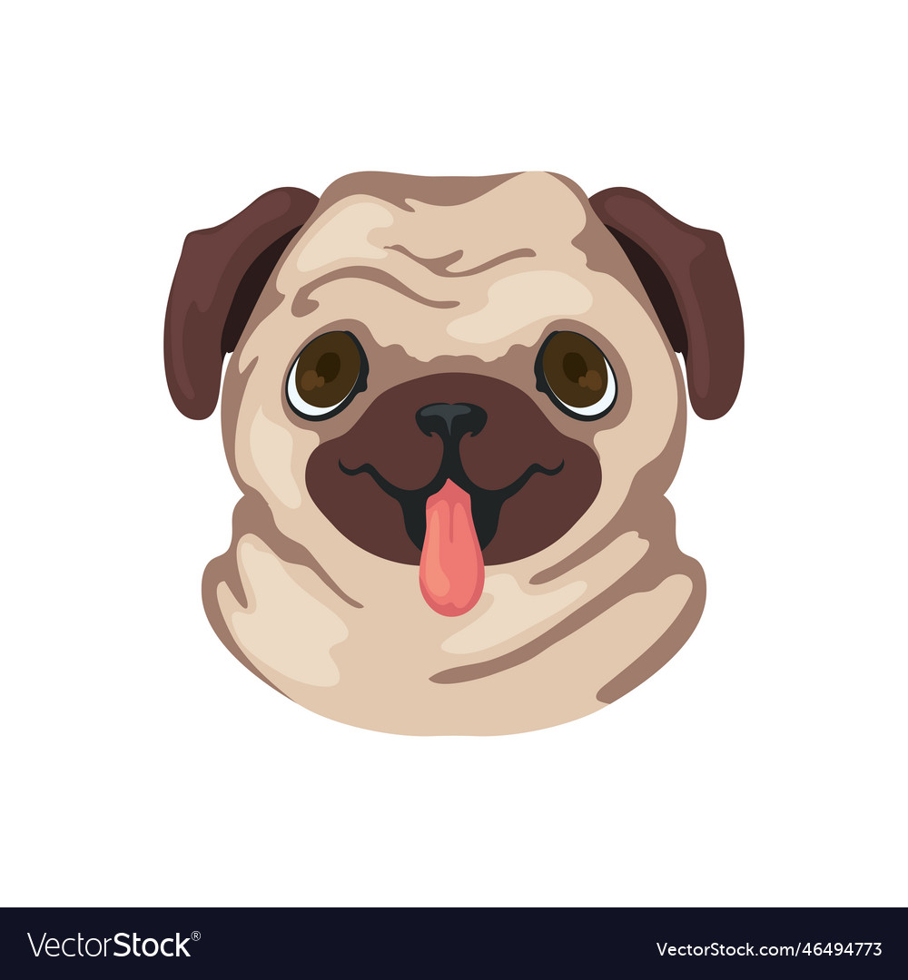 Cute pug face Royalty Free Vector Image - VectorStock