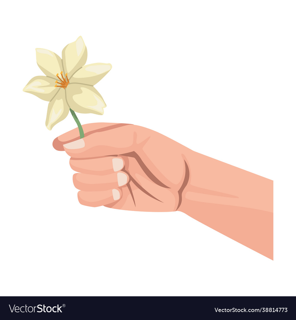 Hand with flower Royalty Free Vector Image VectorStock