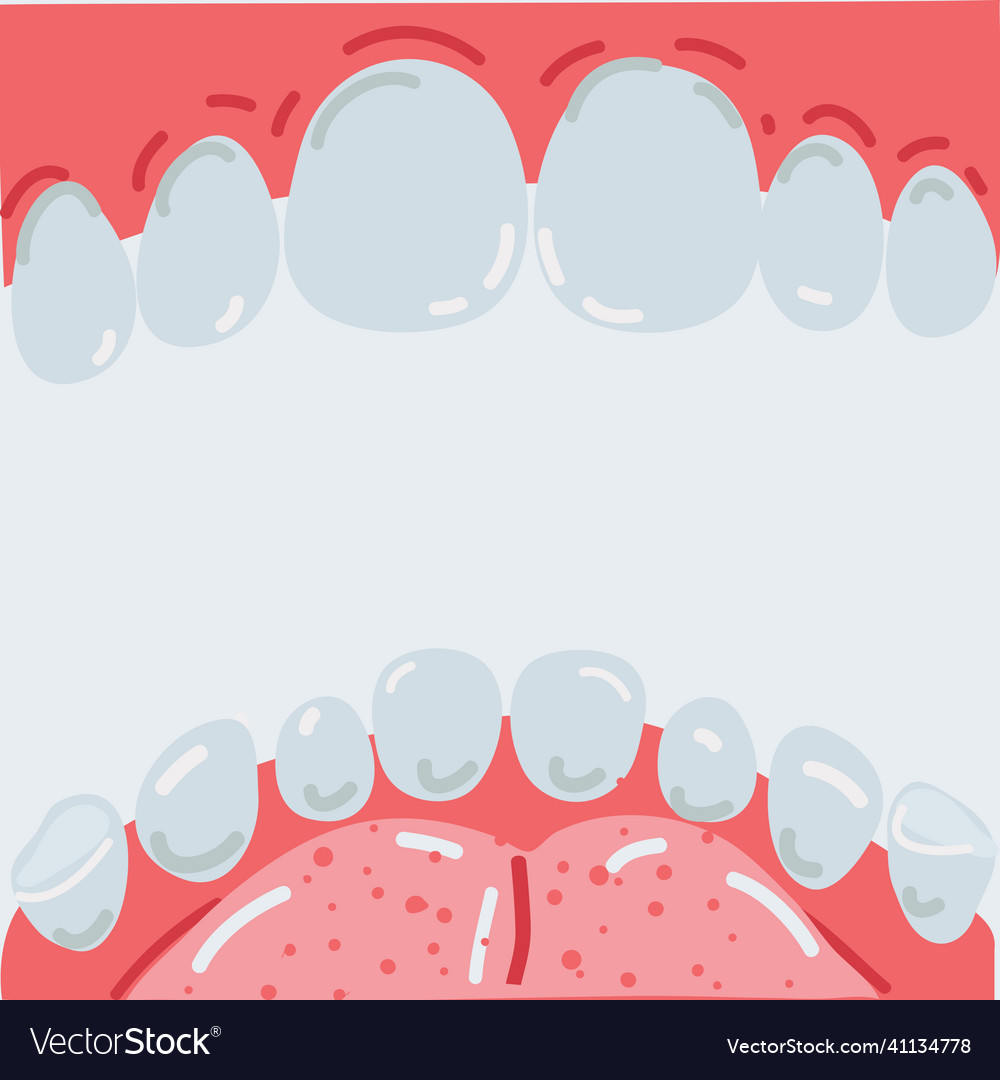 Mouth with teeth inside view Royalty Free Vector Image