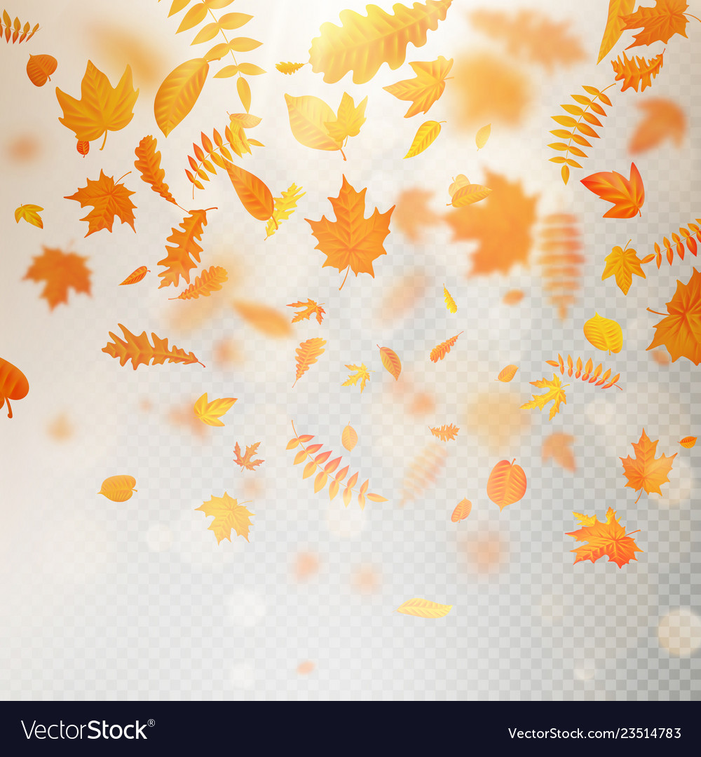 falling leaves after effects download