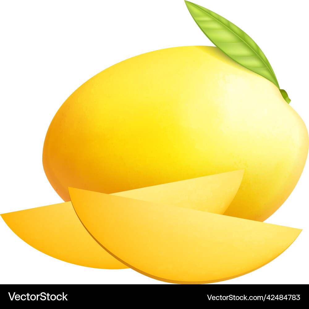 Exotic fruit mango composition Royalty Free Vector Image