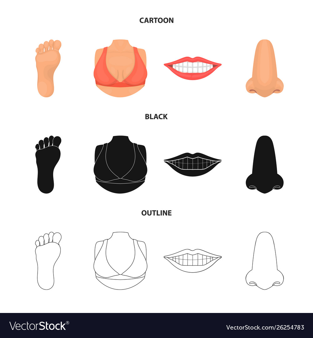 Isolated object body and part logo collection