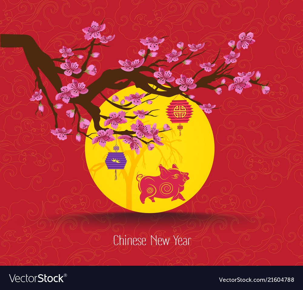 Oriental chinese new year cherry blossom Vector Image