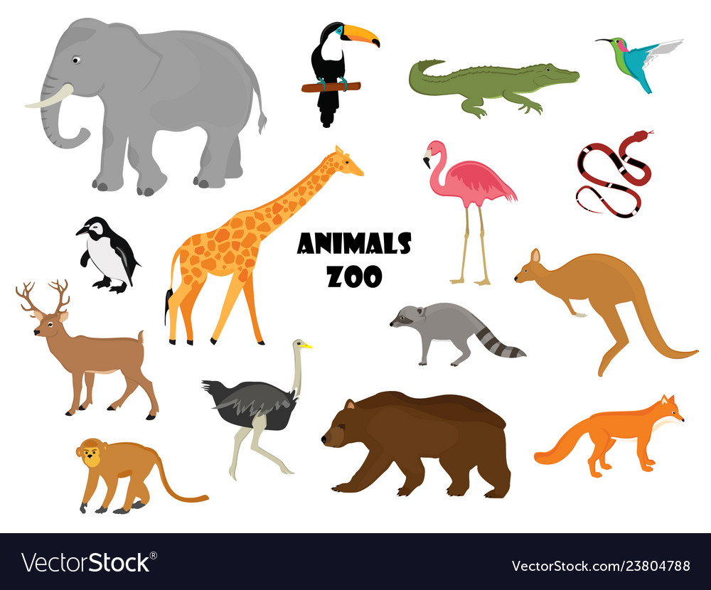 Download Zoo animals Royalty Free Vector Image - VectorStock