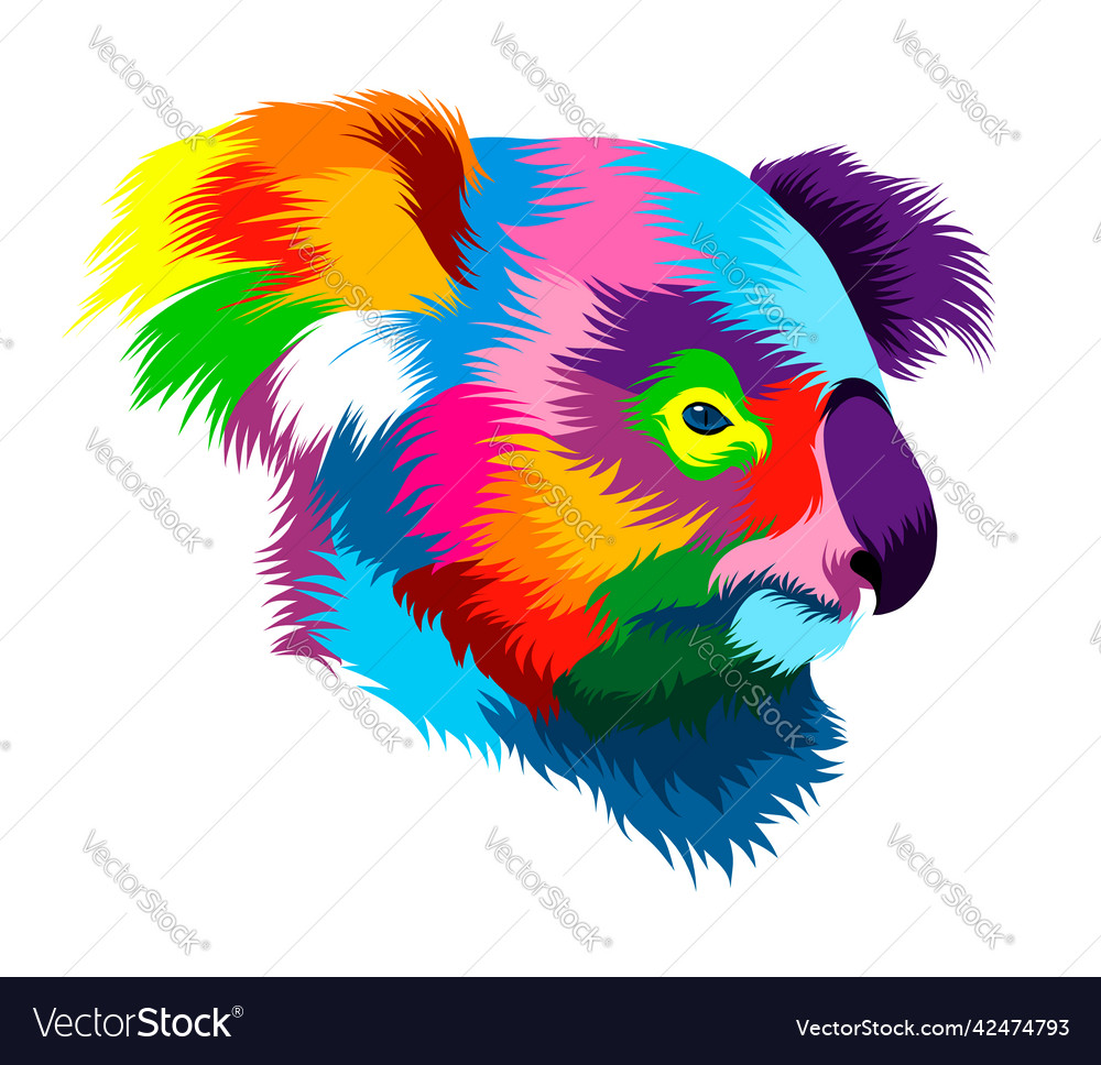 Abstract koala head portrait from multicolored Vector Image