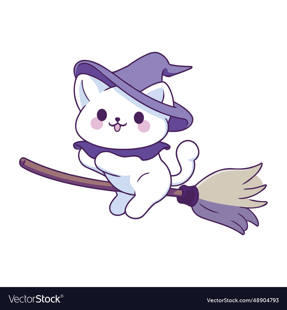 Halloween pet cat on broom